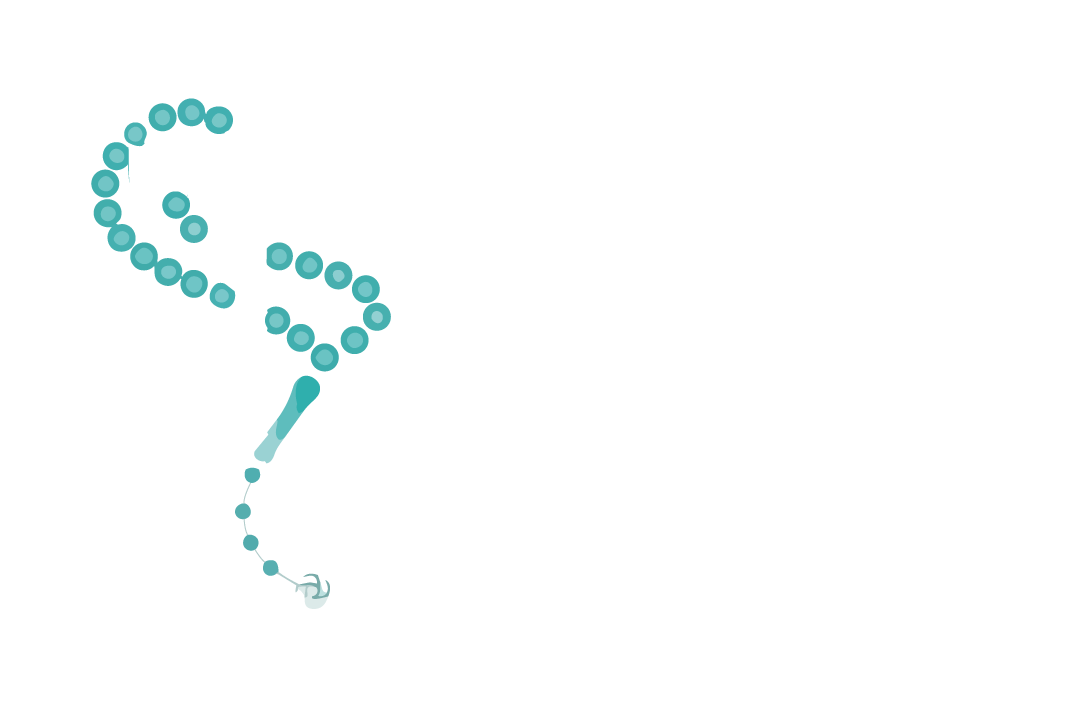 Tan Tesbih